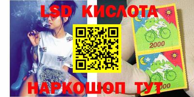 прущие грибы Дубна
