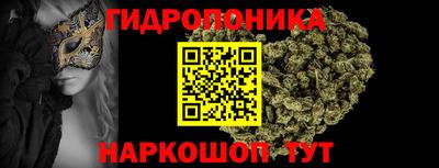 прущие грибы Дубна