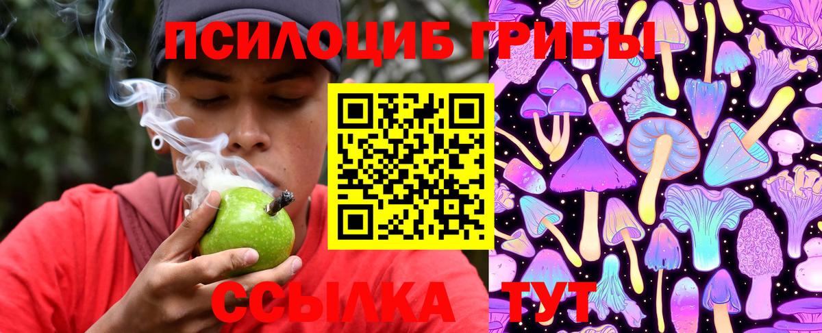 Псилоцибиновые грибы MAGIC MUSHROOMS Новочебоксарск